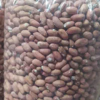 بادام زمینی آستانه|عمده‌فروشی|کیاشهر, |دیوار