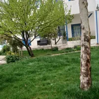اجاره‌ سویت ویلای حیاط دار