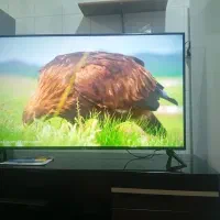ال ای دی ۵۰