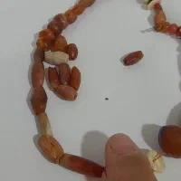 مهره های کهنه کهنه کهنه