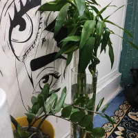 نه شاخه گل بامبو