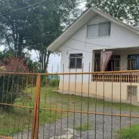 اجاره شبانه ویلا جنگلی