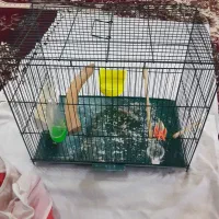 قفس گنجشک با تجهیزات|لوازم جانبی حیوانات|خوی, |دیوار