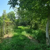 فروش ملک در منطقه آزاد اقتصادی شمال کشور|فروش زمین و ملک کلنگی|خرمآباد (تنکابن), |دیوار