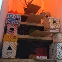 فنج زبرا|پرنده|یزد, |دیوار