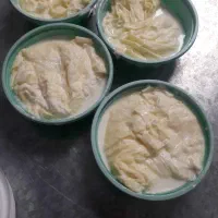 لبنیات