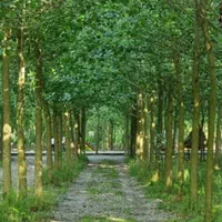 بهترین فرصت تا رویاهات و زندگی کنی