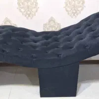 تخت مژه ، فیشیال