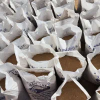 کاه گل.کاهگل پاسارگاد