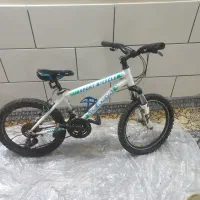 دوچرخه ۲۰ دنده ای