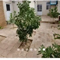 رهن ویلائی ۱۰۰متری نقلی باصفا حیاط دار قنوات