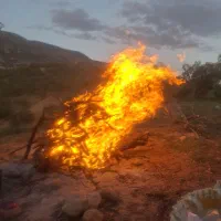 دعوت به همکاری