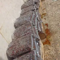 خرمای برحی امسال تازه