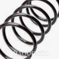 کمک جلو پوسته کوتاه .چراغ خطر پارس فابریک