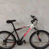 دوچرخه ویوا سناتور