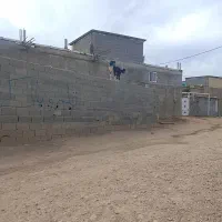 واگذاری سگ قدریجونی چنبر