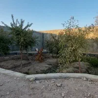 فروش باغ ۳۵۰ متر خیابان سروش قهجاورستان