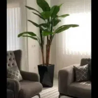 درخ جه|گل مصنوعی|تهران, مشیریه|دیوار