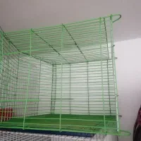 سلام چند عدد قفس یدونش گرد و بقیه ساده|لوازم جانبی حیوانات|نیشابور, بنیاد شهید|دیوار