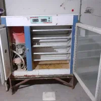 دستگاه جوجه کشی|لوازم جانبی حیوانات|تربت‌حیدریه, ۴۵ متری|دیوار