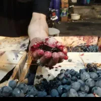 خریدار نقدی انگور سیاه|خدمات باغبانی و درختکاری|کامیاران, |دیوار