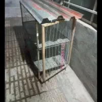 قفس  آهنی جامرغ