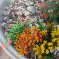 سنگ تزئینی آکواریوم|ماهی|بروجرد, |دیوار