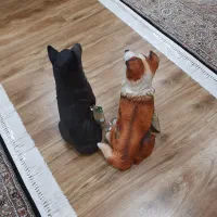 سگ سیلیکونی گوشتی ۴۰ سانتی خارجی آک|مجسمه، تندیس، ماکت|تبریز, |دیوار