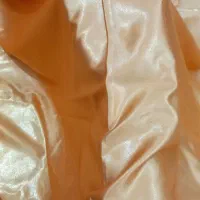 پارچه|لباس|رودان, |دیوار