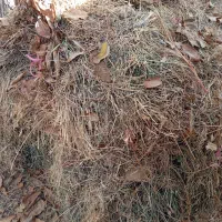 علف خشک بسته بندی شده