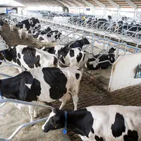 اخذ مجوز تغییرکاربری دیوارکشی،سند تکبرگ،چاه،جایگاه|خدمات مالی، حسابداری، بیمه|تهران, جردن|دیوار