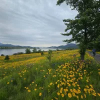 نیازمند نامه تمکن مالی