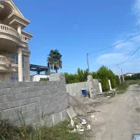 ۲۳۱متر زمین بافت زرد شهرکی پروانه دار در همت آباد|فروش زمین و ملک کلنگی|شیرود, |دیوار