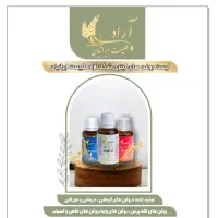 منشی خانم مسلط به کامپیوتر