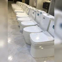 پخش فرنگی ایساتیس چینی کرد مروارید گریدA بیده دار