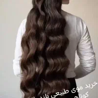 خریدار مو بلند با کوتاهی رایگان بالاترین قیمت