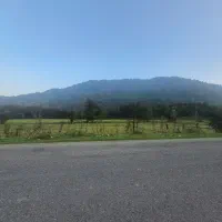 1300 متر زمین مسکونی جنگلی