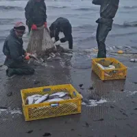 نیاز به همکار