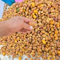 قصب زاهدی|خوردنی و آشامیدنی|بوشکان, |دیوار