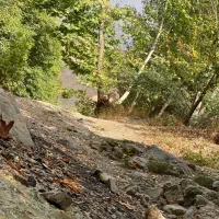 زمین-آماده-ساخت