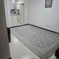۶۶مترنوساز_تاپ لوکیشن_تمیز _کارون