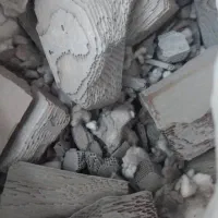 کاتالیزور شمارا با بالاترین قیمت خریداریم|قطعات یدکی و لوازم جانبی|بندرعباس, |دیوار