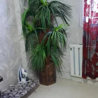 در حد نو و کارکرده