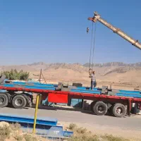 کشنده البرز مدل ۸۹ باکفی