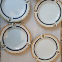 ظروف چینی کم کارکرد