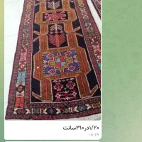 تعدادی فرش ماشینی وکناره|فرش|مشگین شهر, |دیوار