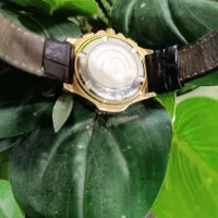 ساعت مچی ویولت اصلی زنانه|ساعت|تهران, باغ خزانه|دیوار