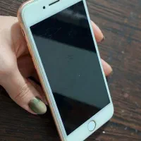 آیفون ۸ رنگ رزگلد|موبایل|رشت, چله خانه|دیوار