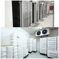 515 فروش و تولید انواع 515 سردخانه 515|ماشین‌آلات صنعتی|کرمان, |دیوار