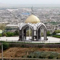 وبسایت تربت نو